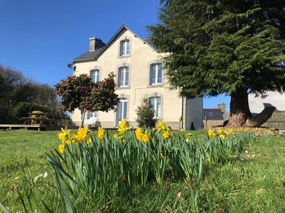 Anaya Cottages Plonévez-du-Faou Extérieur photo